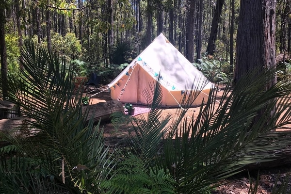 Nomadika Glamping tent set in WA's South West Forest