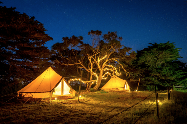 Luxury glamping tents at Sheltered Glamping, Phillip Island