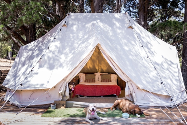 Glamping tent at Yallingup Lodge