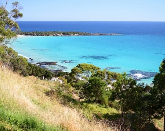 Boat Harbour Glamping