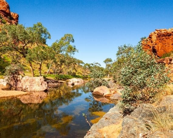 Glamping Northern Territory