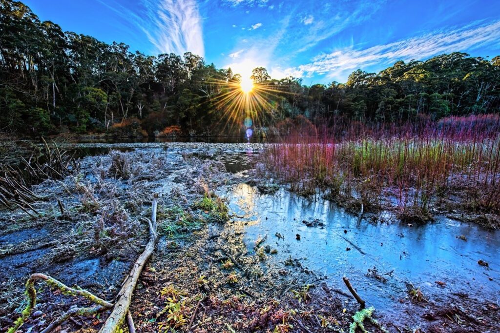 Spectacular sunrise over the forest near Daylesford