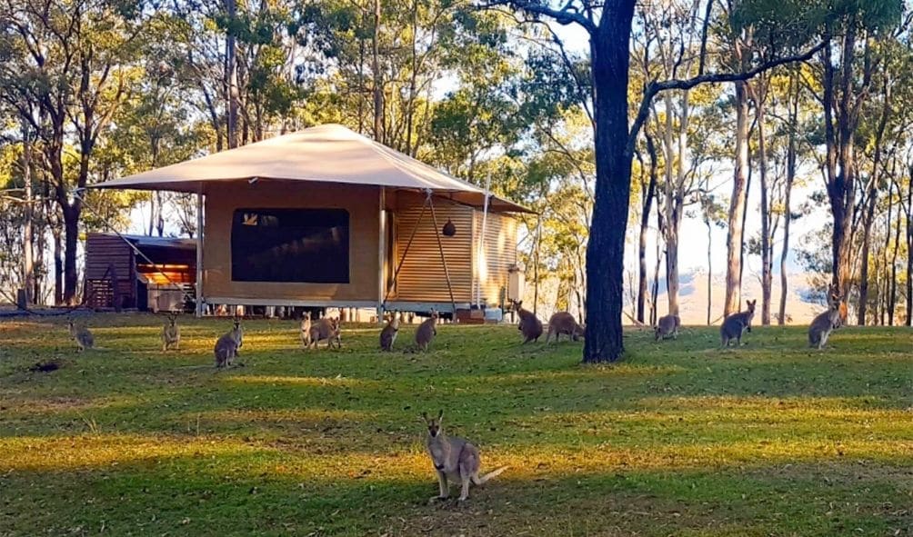 Ketchup's Bank Glamping, Scenic Rim