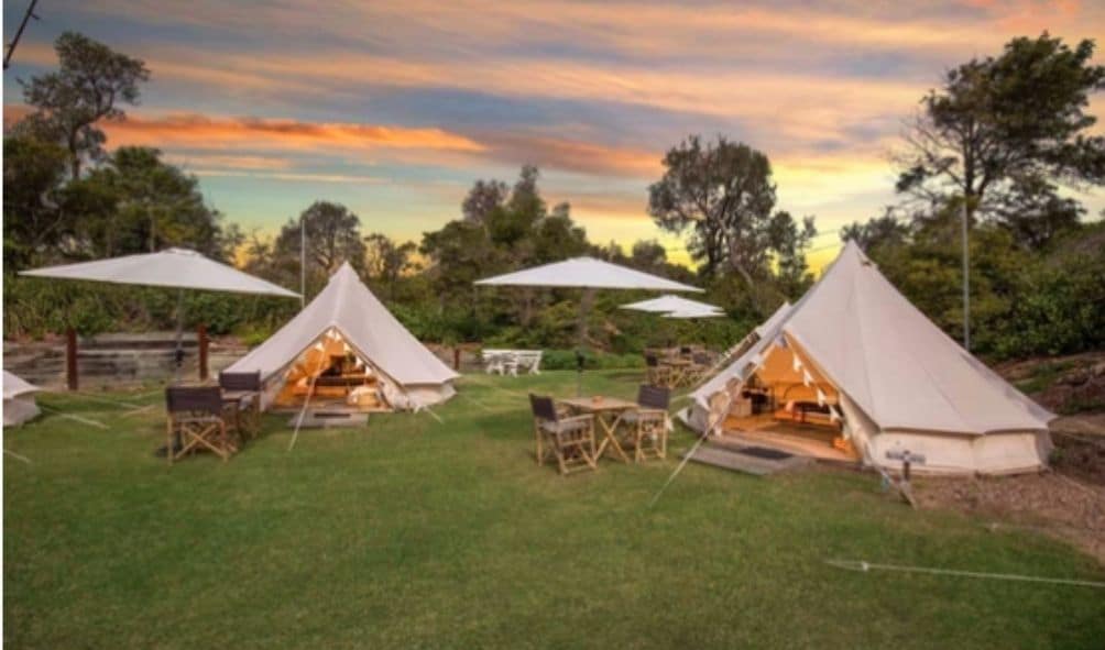 Glamping tents at The Cove, Jervis Bay