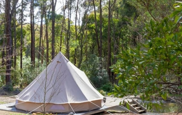 Bell tent nestled in the forest at Garden Beds Glamping